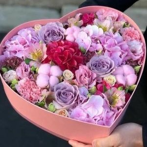 Meet your Posher, Mariam